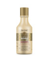 INOAR Daymoist Conditioner - kondicionieris ķīmiski bojātiem matiem 250 ml